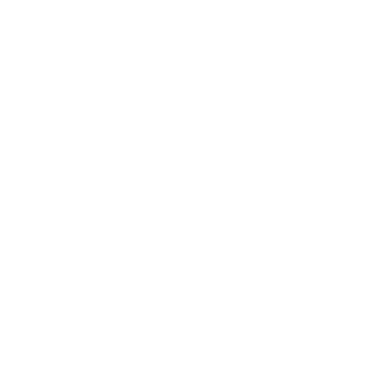 Data Security