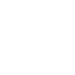 Quantum Security