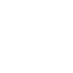 Computer Vision Solutions