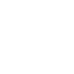 Conversational AI