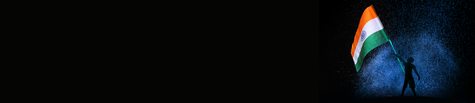 Public Sector Market