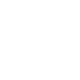 AI Strategy & Roadmap