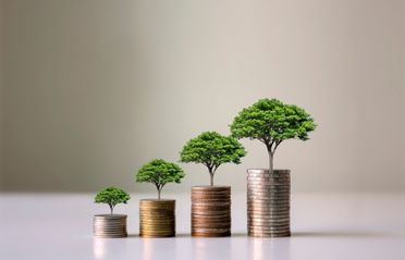 Culture Growth 1