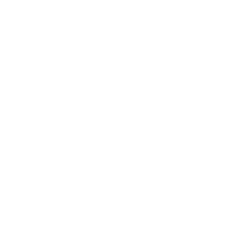 Cybersecurity & Risk Transformation